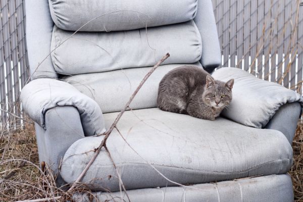 Recliner Disposal in Syracuse